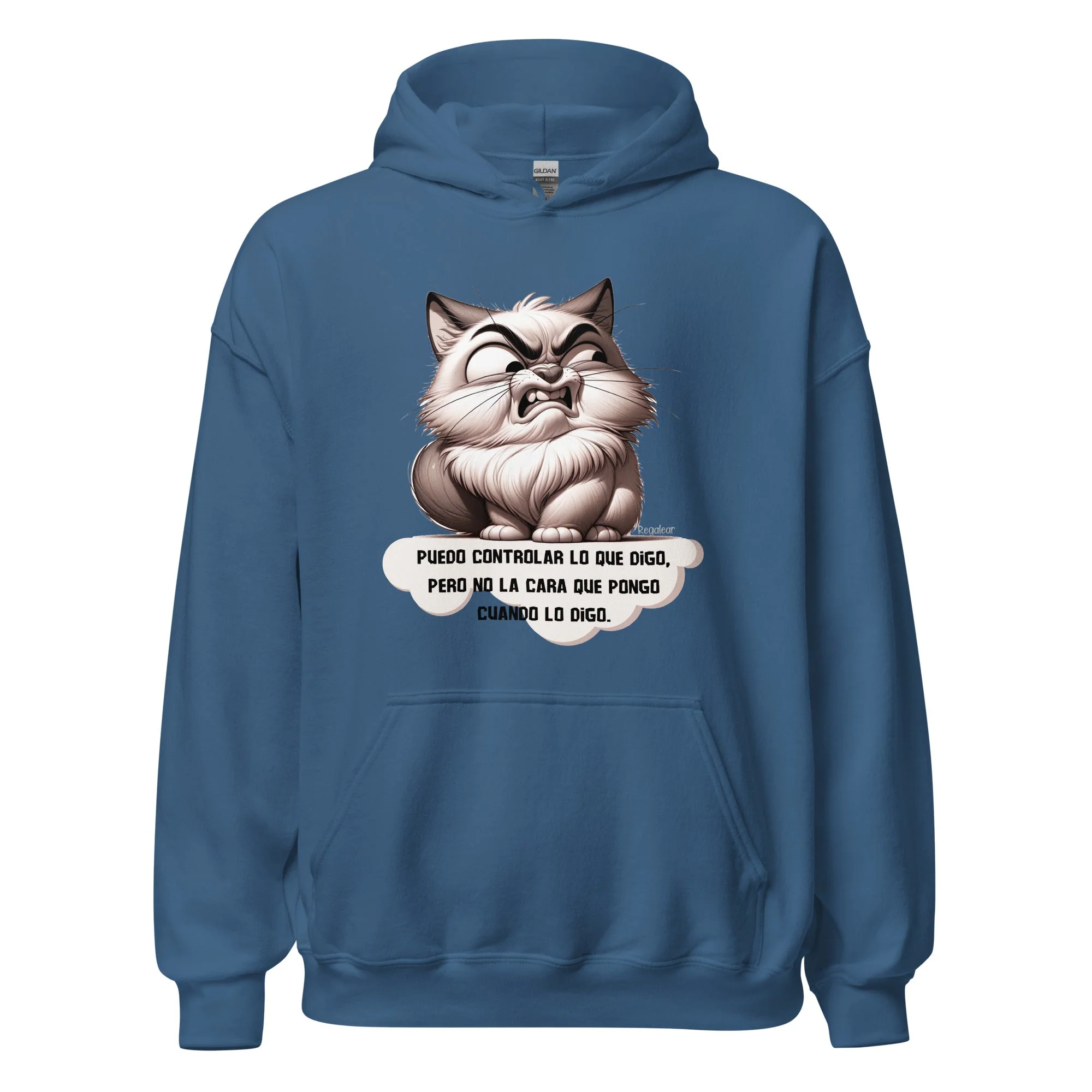Sudadera Puedo controlar lo que digo - Imagen 4
